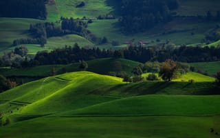 Картинка Поля, Зеленый, Природа, Хирцель, Швейцария, Долина