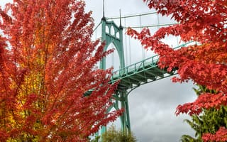 Картинка Города, Деревья, Осень, Портленд, Яркий, Мост, Орегон