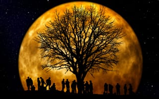 Картинка Люди, Ночь, Вектор, Луна, Дерево, Силуэты