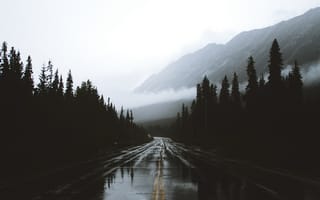 Картинка Канада, Дорога, Горы, Влажный, Разметка, Альберта, Туман, Природа