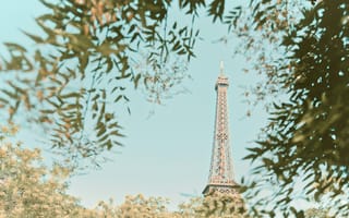 Картинка Города, Деревья, Здание, Париж, Ветки, Башня, Эйфелева Башня