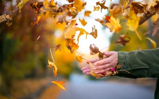 Обои Осень, Листья, Руки, Разное