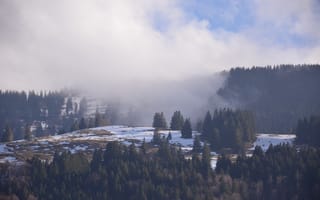 Картинка Природа, Горы, Снег, Туман, Лес