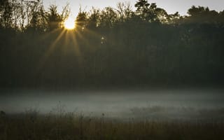 Картинка Природа, Закат, Туман, Солнечный Свет, Трава, Поле