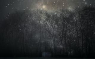 Картинка Деревья, Ночь, Звездное Небо, Темные, Мистический, Лес, Туман