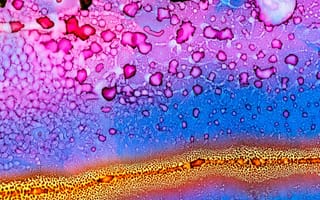 Картинка Абстракция, Разноцветный, Пятна, Микроскопический, Крупный План, Структура