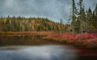 Картинка Пейзаж, Природа, Осень, Озеро, Лес, Деревья