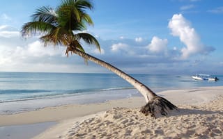 Картинка Природа, Пляж, Пальма, Тропики, Мальдивы