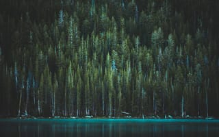 Картинка Природа, Деревья, Теная, Сша, Йосемитский Национальный Парк, Озеро