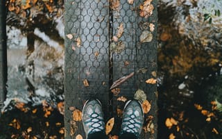 Картинка Природа, Осень, Ноги, Дождь, Листва