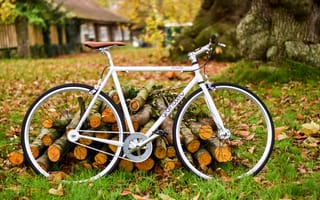 Картинка Осень, Разное, Листва, Велосипед