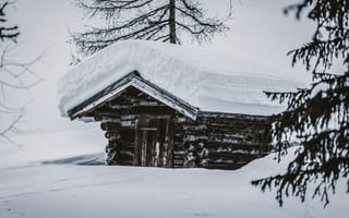 Картинка Зима, Природа, Снег, Сугробы, Хижина, Деревянный