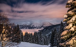 Картинка Деревья, Германия, Природа, Горы, Снег, Бавария, Зима