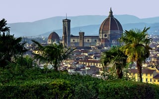 Картинка Италия, Города, Флоренция, Тоскана, Купол, Пальмы
