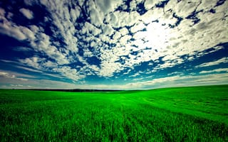 Картинка Природа, Трава, Поле, Облака, Небо, Лето, Зеленый