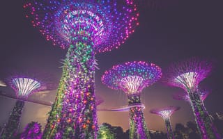 Картинка Города, Город, Украшение, Искусственные Деревья, Освещение, Сингапур