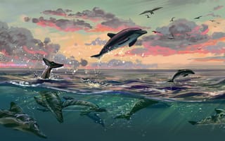 Картинка Дельфины, Вода, Арт, Прыжок, Море