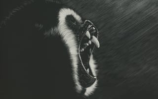 Картинка Арт, Оскал, Мартышка, Темный