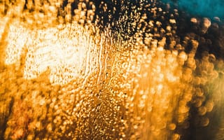 Картинка Капли, Макро, Мокрый, Свет, Размытый, Поверхность
