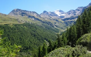 Картинка Природа, Деревья, Горы, Швейцария, Альпы