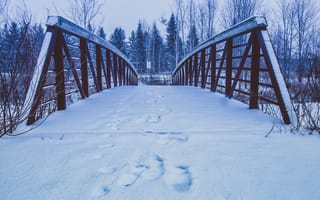 Картинка Зима, Природа, Мост, Снег, Следы