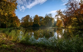 Картинка Природа, Деревья, Нидерланды, De Haar Castle Park, Лето, Пруд
