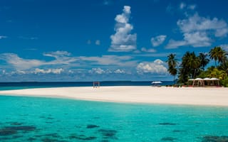 Картинка Природа, Пляж, Мальдивы, Пальмы, Курорт, Тропики