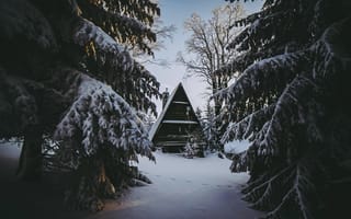 Картинка Зима, Природа, Уют, Домик, Лес, Снег