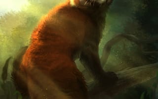 Картинка Арт, Лес, Малая Панда, Дикая Природа, Животное