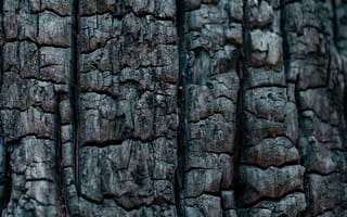 Картинка Дерево, Текстура, Черный, Угол, Текстуры