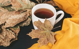 Картинка Осень, Листья, Клен, Разное, Чашка, Чай