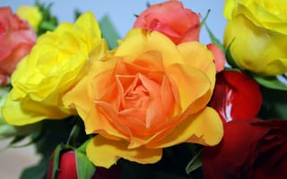 Картинка Розы, Цветы, Букет