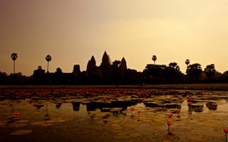 Картинка Природа, Лилии, Камбоджа, Панорама, Пруд