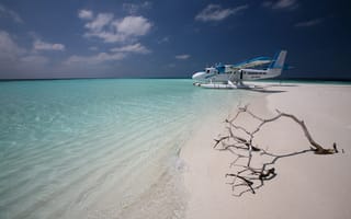 Картинка Природа, Берег, Самолет, Коряга, Мальдивы