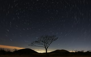 Картинка Природа, Небо, Дерево, Ночь, Звездное Небо