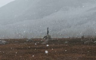 Картинка Природа, Снег, Холм, Одинокий, Снежинки, Одиночество