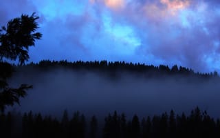 Картинка Природа, Облака, Сумерки, Лес, Туман