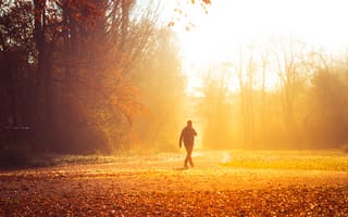Картинка Природа, Осень, Парк, Прогулка, Одиночество, Солнечный Свет