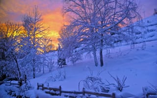 Картинка Зима, Природа, Закат, Небо, Снег, Забор, Деревья
