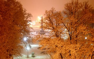 Картинка Пейзаж, Зима, Ночь, Деревья, Снег