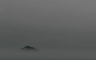 Картинка Минимализм, Дерево, Туман, Верхушка