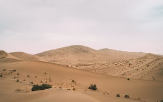 Обои Природа, Песок, Пустыня, Холм, Барханы