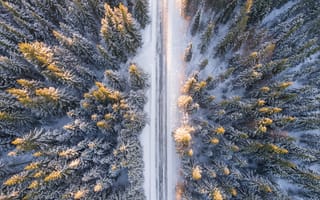 Картинка Зима, Природа, Деревья, Вид Сверху, Дорога