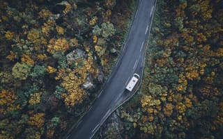 Обои Природа, Деревья, Осень, Автомобиль, Дорога, Вид Сверху