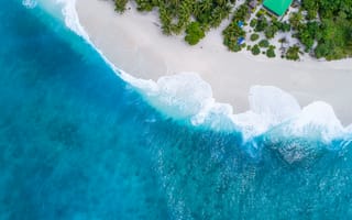 Картинка Океан, Пальмы, Тропики, Природа, Мальдивы, Вид Сверху