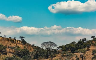 Картинка Природа, Деревья, Африка, Возвышенности, Облака