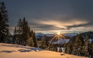 Картинка Зима, Природа, Снег, Солнечный Свет, Ели, Горы