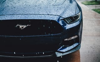 Картинка Дождь, Тачки (Cars), Фара, Ford Mustang, Вид Спереди