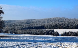 Картинка Зима, Природа, Деревья, Поле, Снег