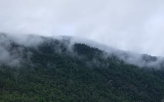 Картинка Природа, Деревья, Туман, Горы